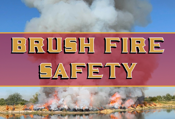Phoenix Fire Brush Fire Safety